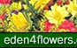 Eden Flowers buy online for Birthdays, Anniversaries, Christmas. Huge selection!